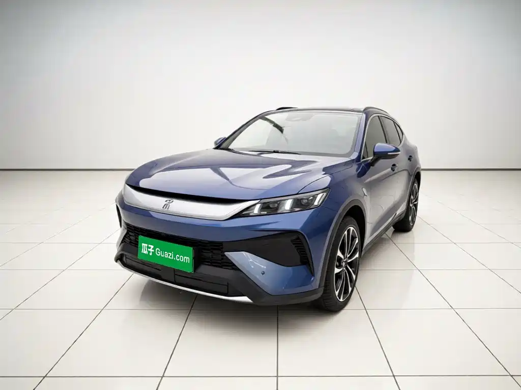 BYD Pro New Energy