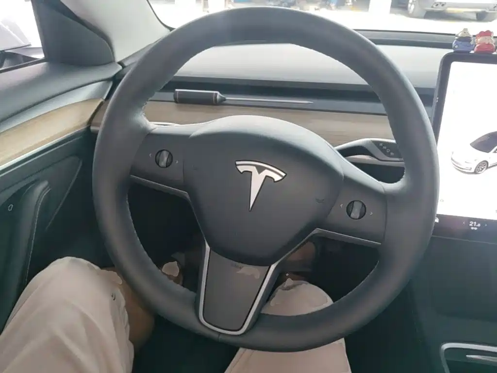 Tesla Model 3 — миниатюра 11