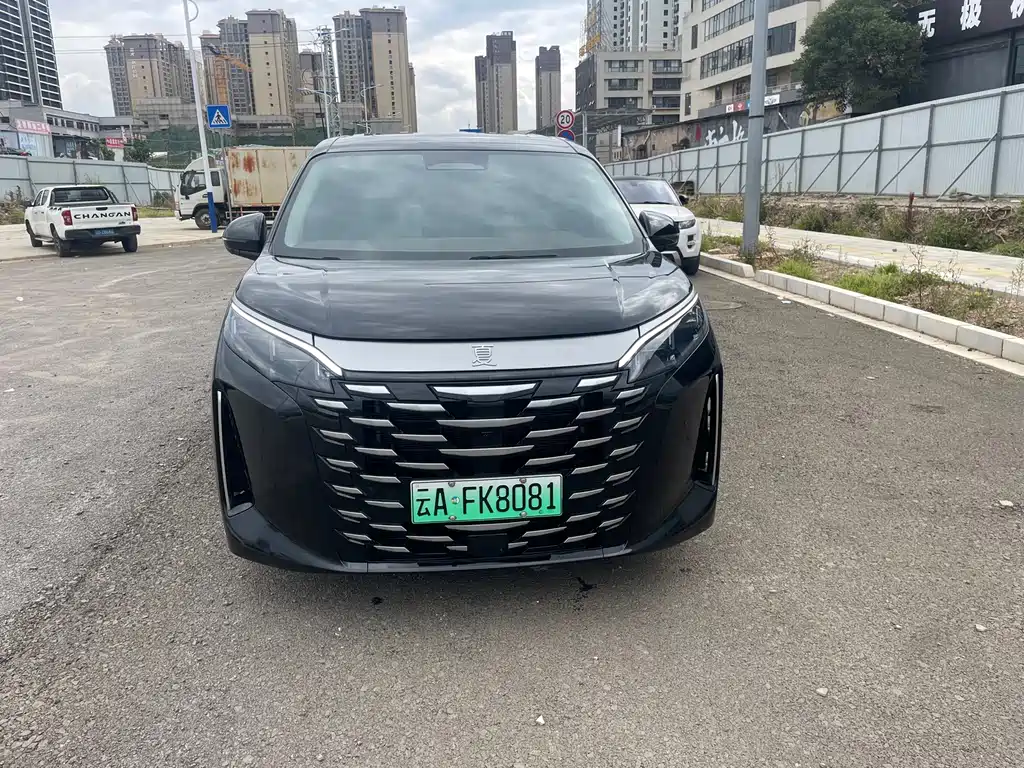 BYD Xia — миниатюра 2