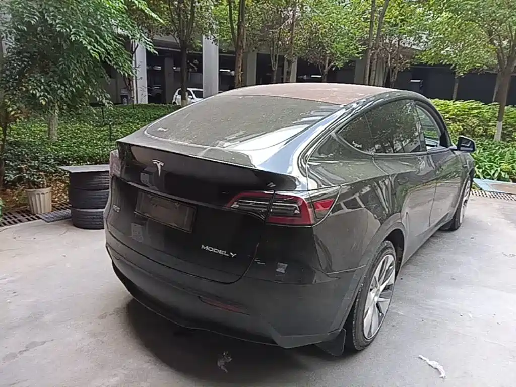 Tesla Model Y — миниатюра 7