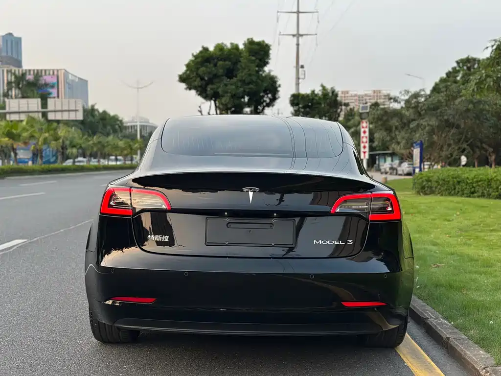 Tesla Model 3 — миниатюра 6