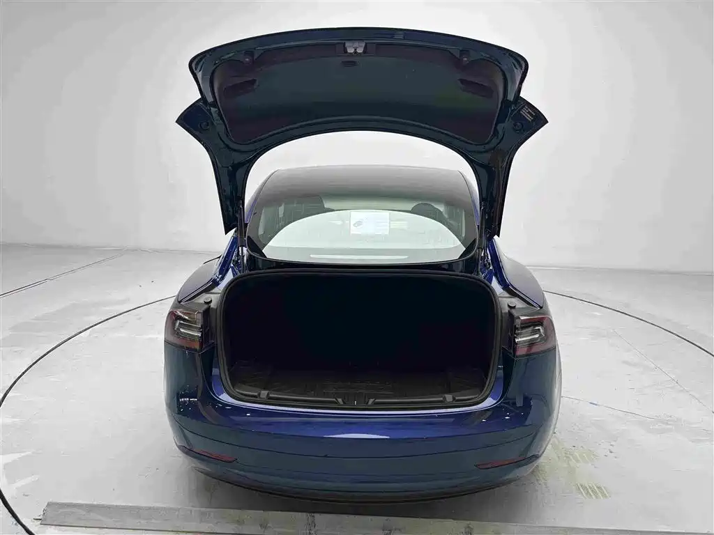Tesla Model 3 — миниатюра 19