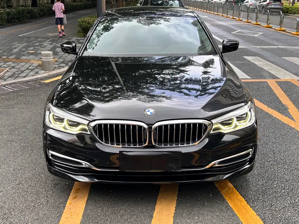 BMW 5 Series 5 2020 530Li xDrive M Sport