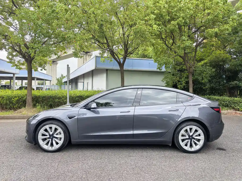 Tesla Model 3 2021 3D1