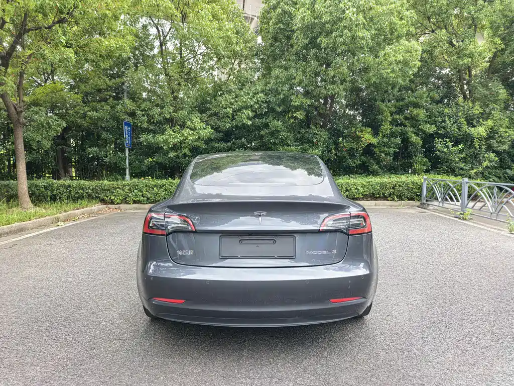 Tesla Model 3 2021 3D1