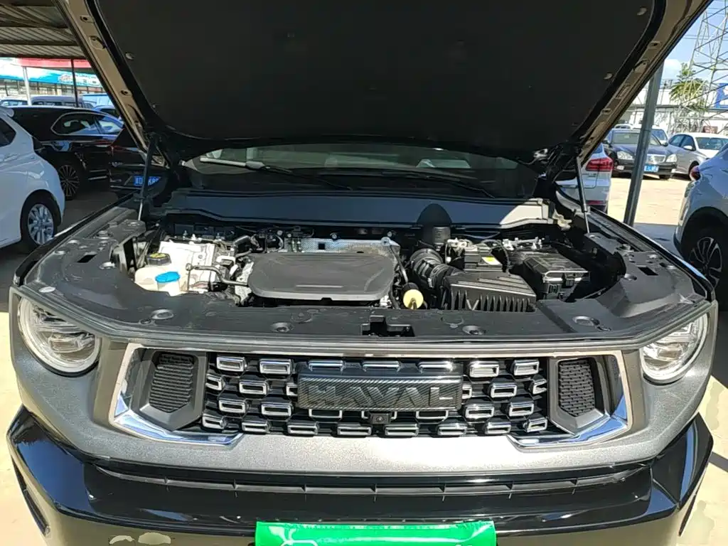 Haval Big Dog PLUS — миниатюра 20