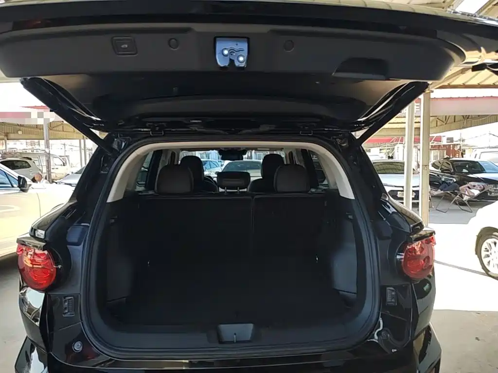 Haval Big Dog PLUS — миниатюра 19