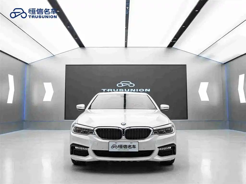 BMW 5 Series 5 2018 530Li Premium M Sport