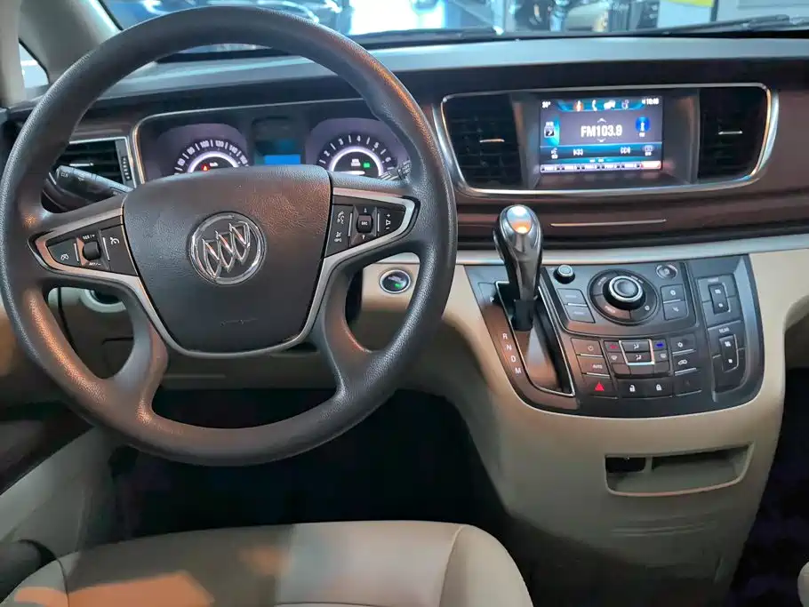 Buick GL8 — миниатюра 12