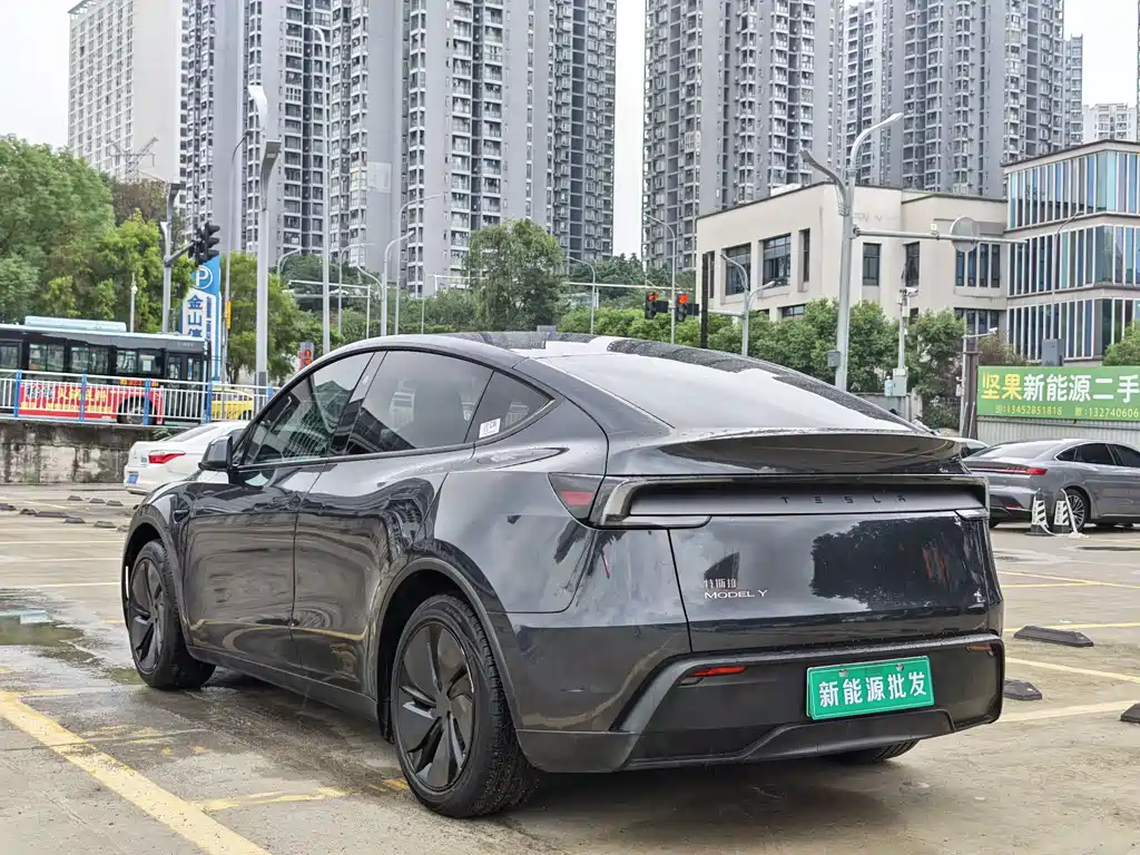 Tesla Model Y — миниатюра 4