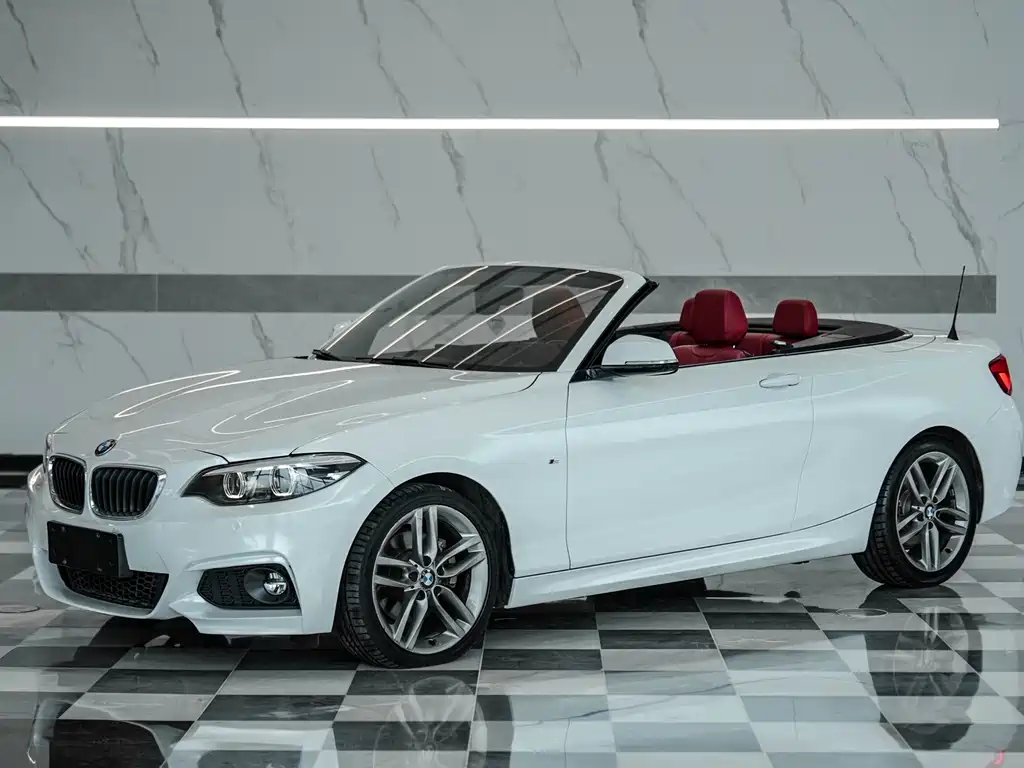 BMW 2 Series (Import) 2018