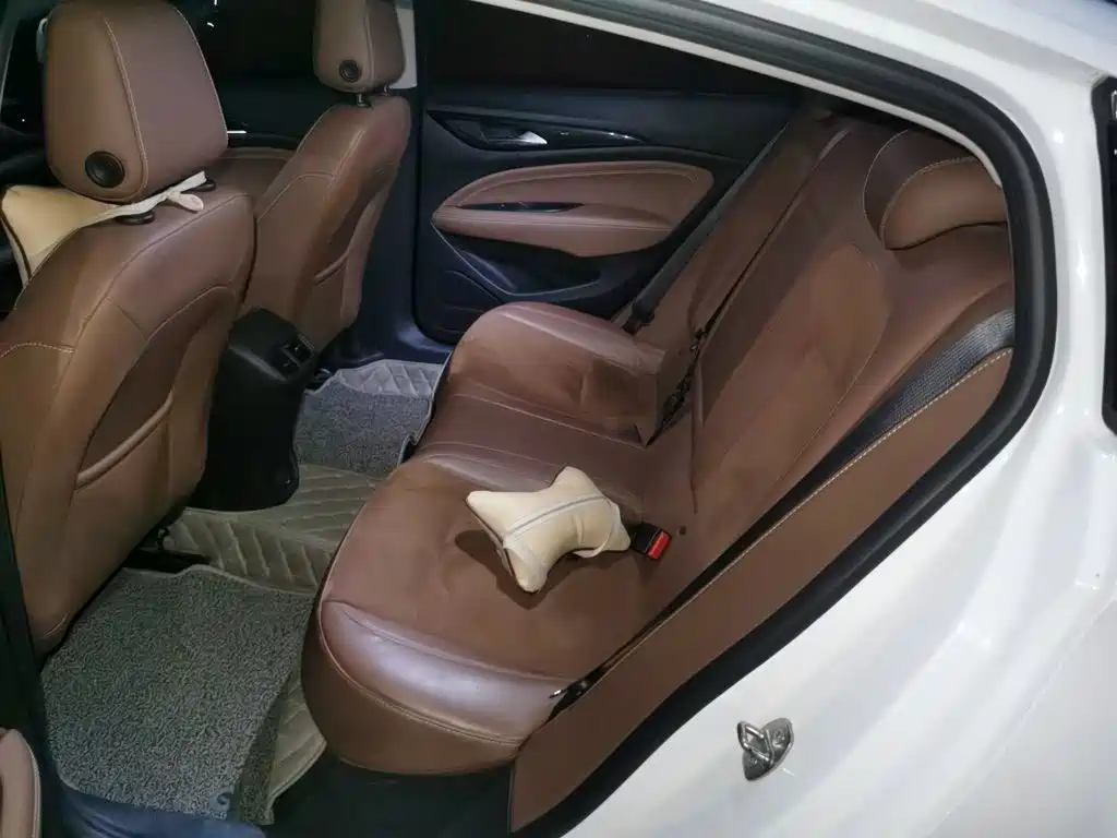 Buick Regal — миниатюра 15