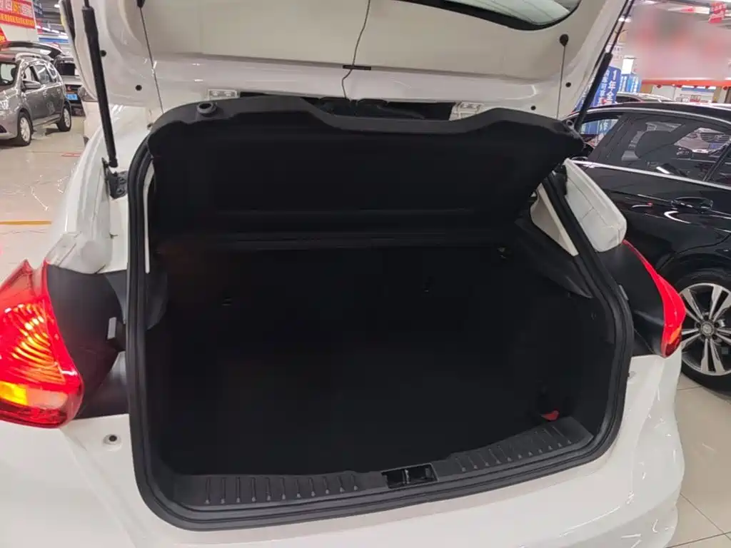 Ford Focus — миниатюра 19
