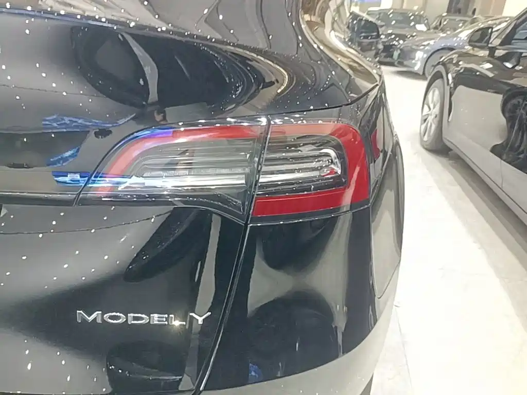 Tesla Model Y — миниатюра 8