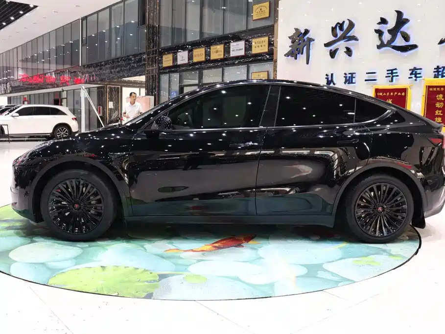 Tesla Model Y — миниатюра 3