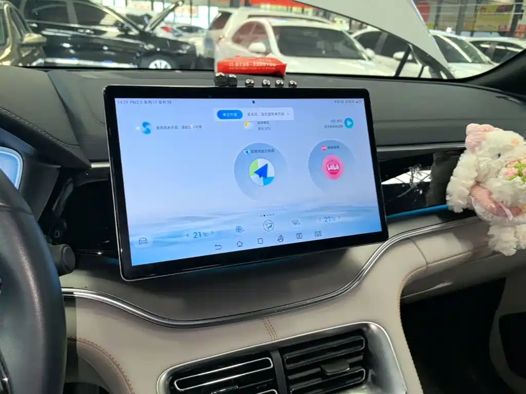 BYD PLUS New Energy — миниатюра 13