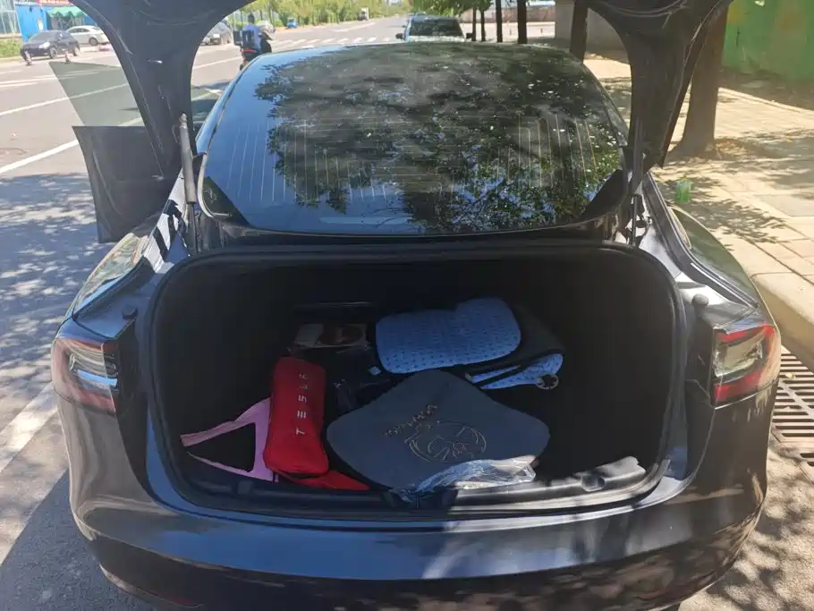 Tesla Model 3 — миниатюра 4