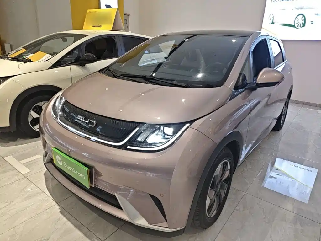 BYD Dolphin — миниатюра 2