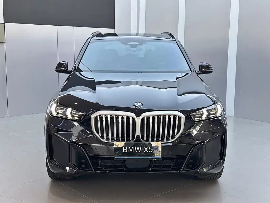 BMW X5 — миниатюра 2