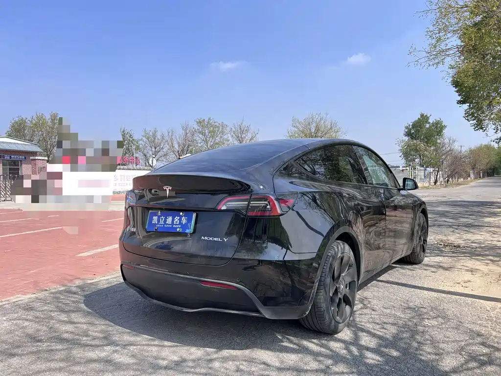 Tesla Model Y — миниатюра 4
