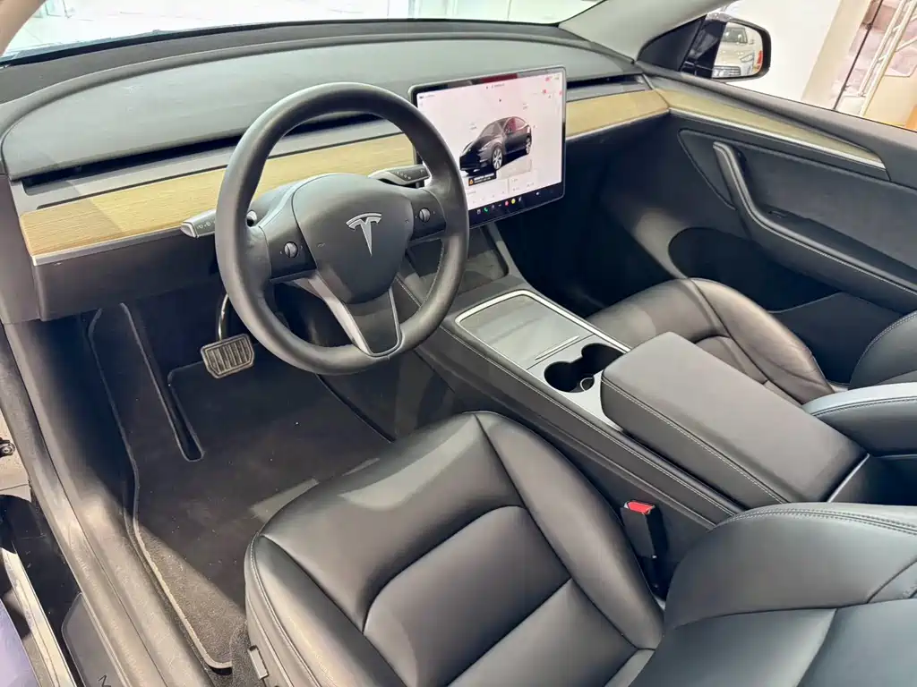 Tesla Model Y — миниатюра 9