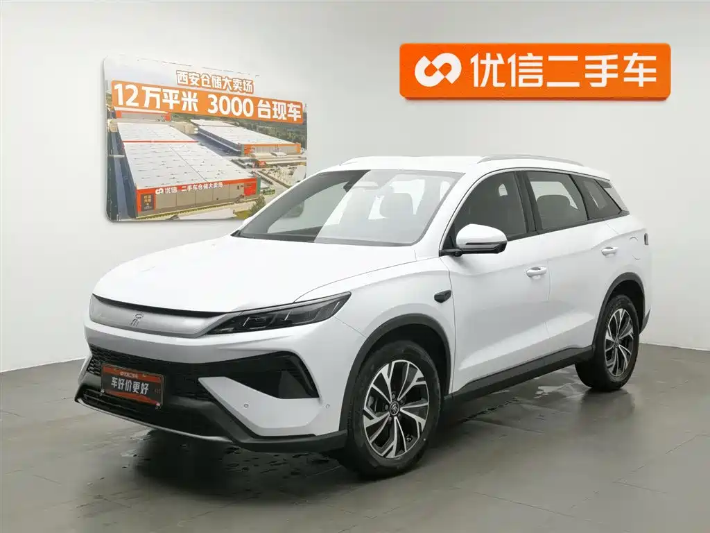 Byd Pro New Energy 2025