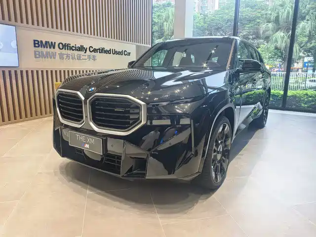 BMW XM