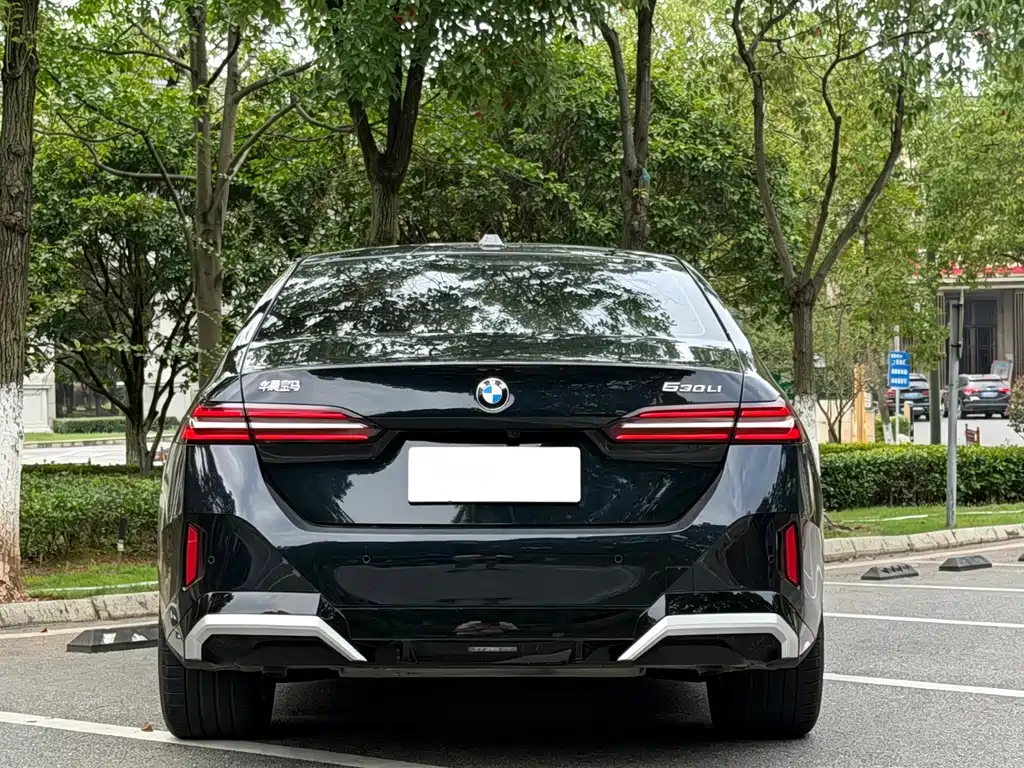 BMW 5 Series — миниатюра 8