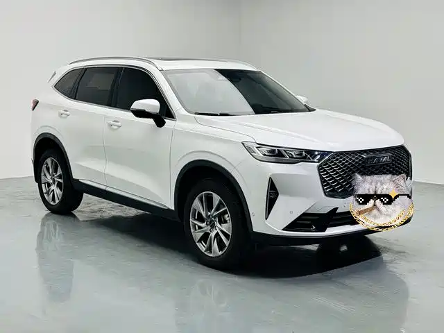 Haval H6 2021 1.5T AT Pro