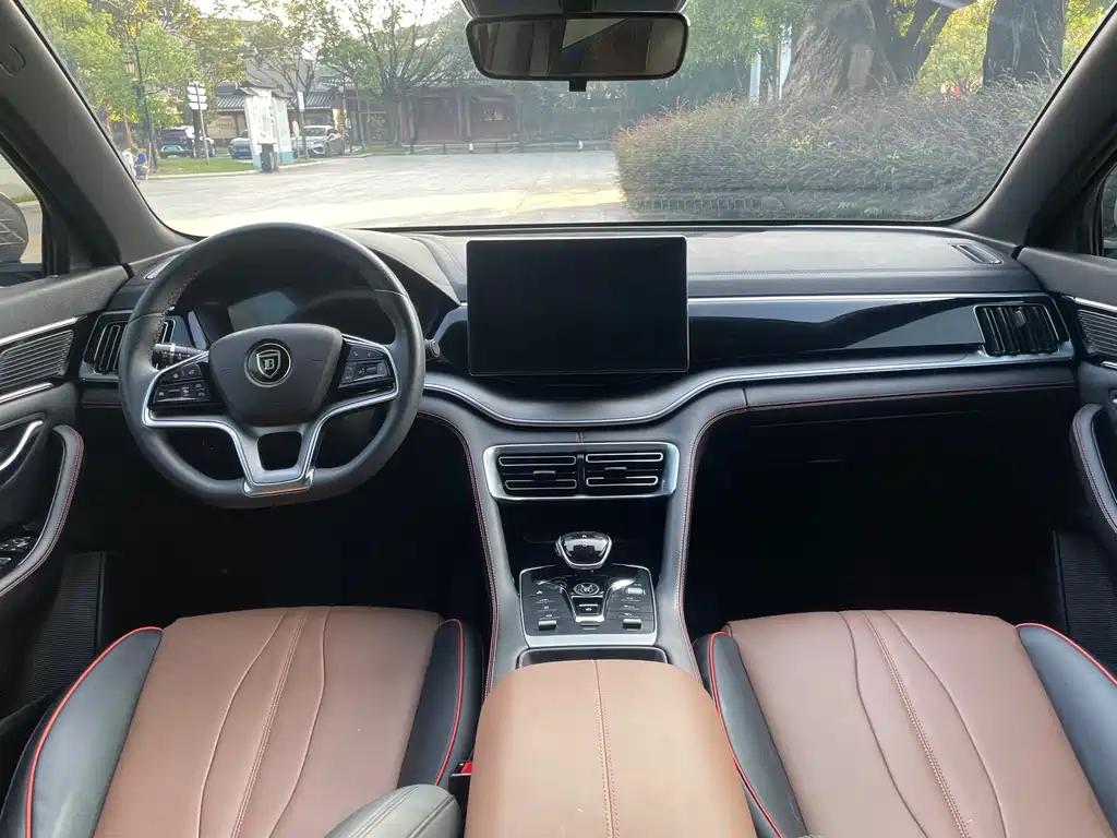 BYD PLUS — миниатюра 19