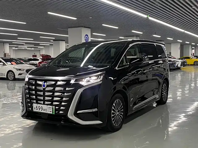 Denza D9
