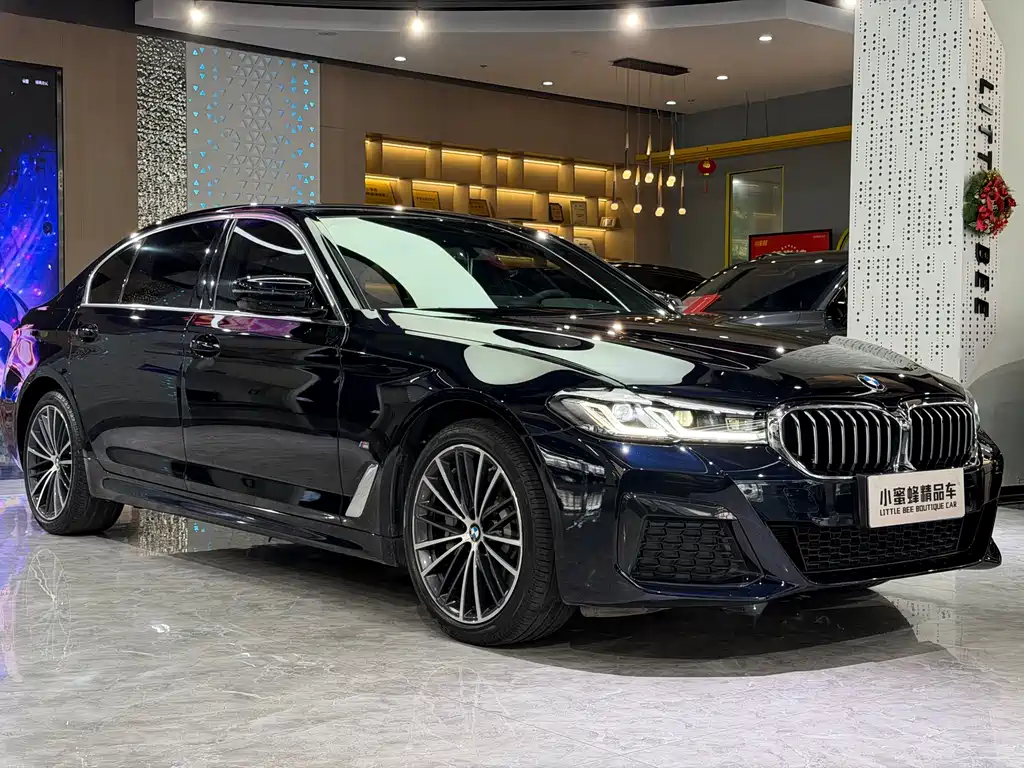 BMW 5 Series — миниатюра 3