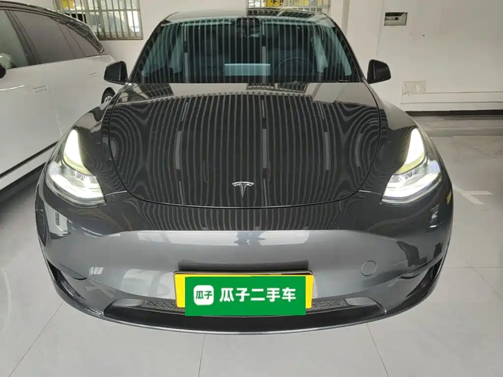 Tesla Model Y — миниатюра 3
