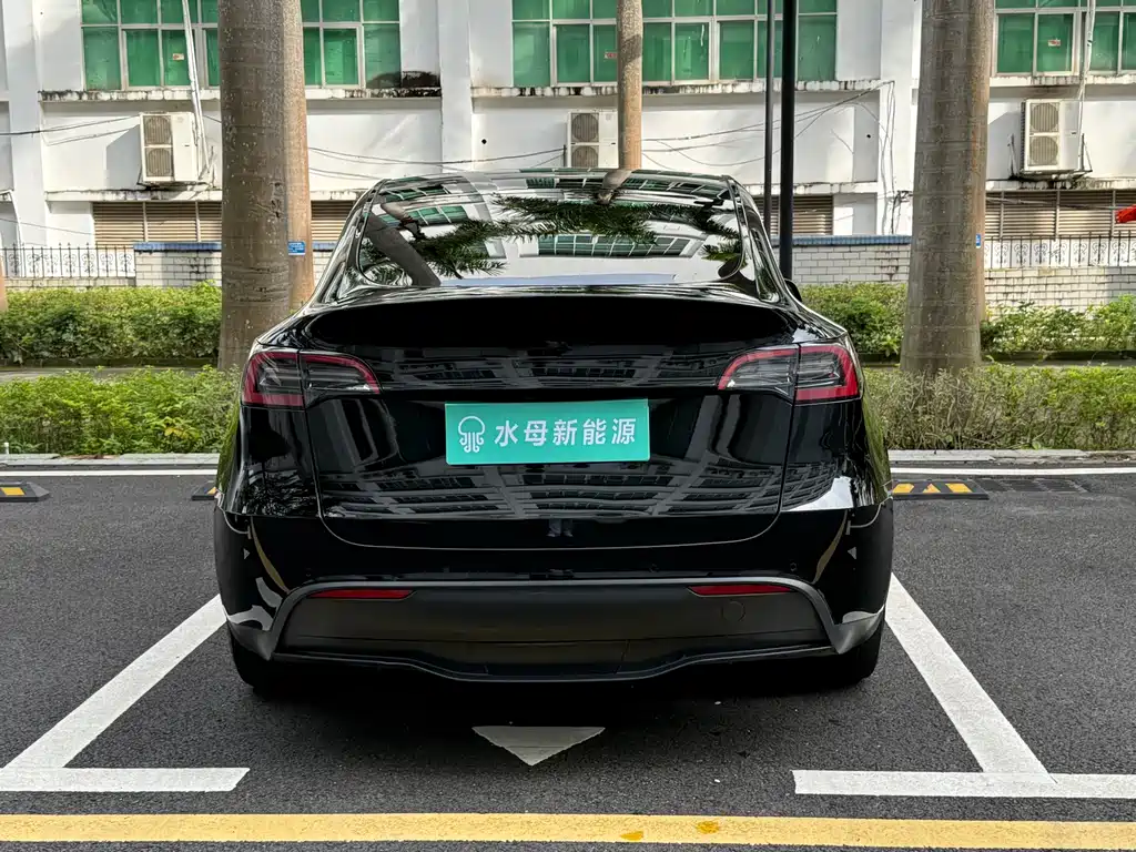 Tesla Model Y — миниатюра 12