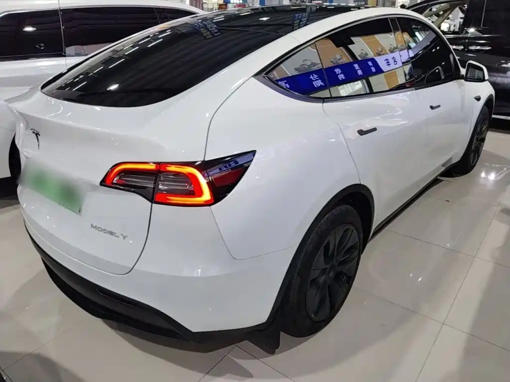 Tesla Model Y — миниатюра 5