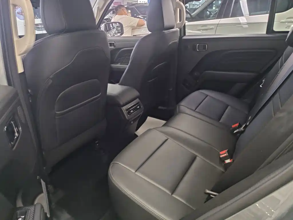 Haval Menglong New Energy — миниатюра 8
