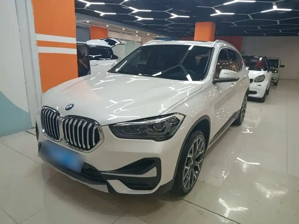 BMW X1 — миниатюра 2