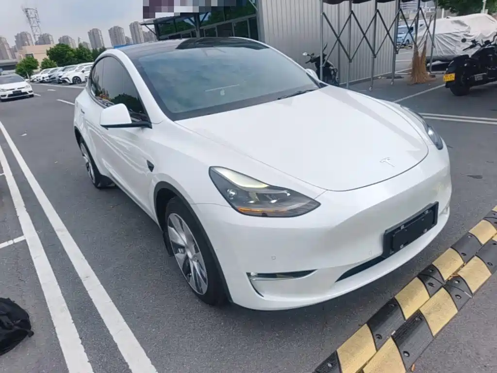 Tesla Model Y — миниатюра 4