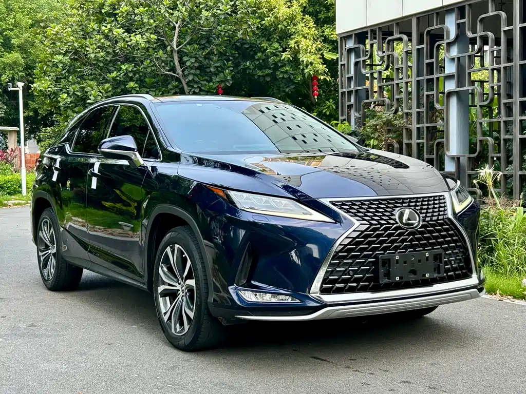 Lexus RX 2020 300 Elegant VI