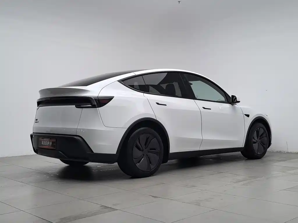 Tesla Model Y — миниатюра 2