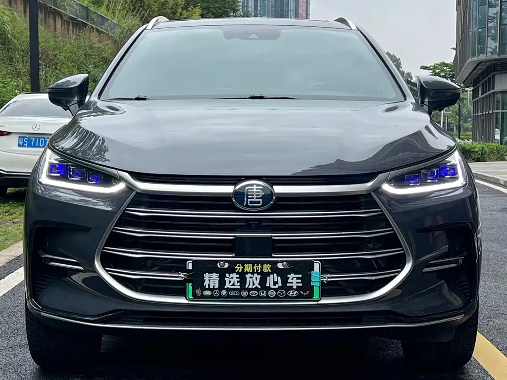 BYD Tang New Energy — миниатюра 2