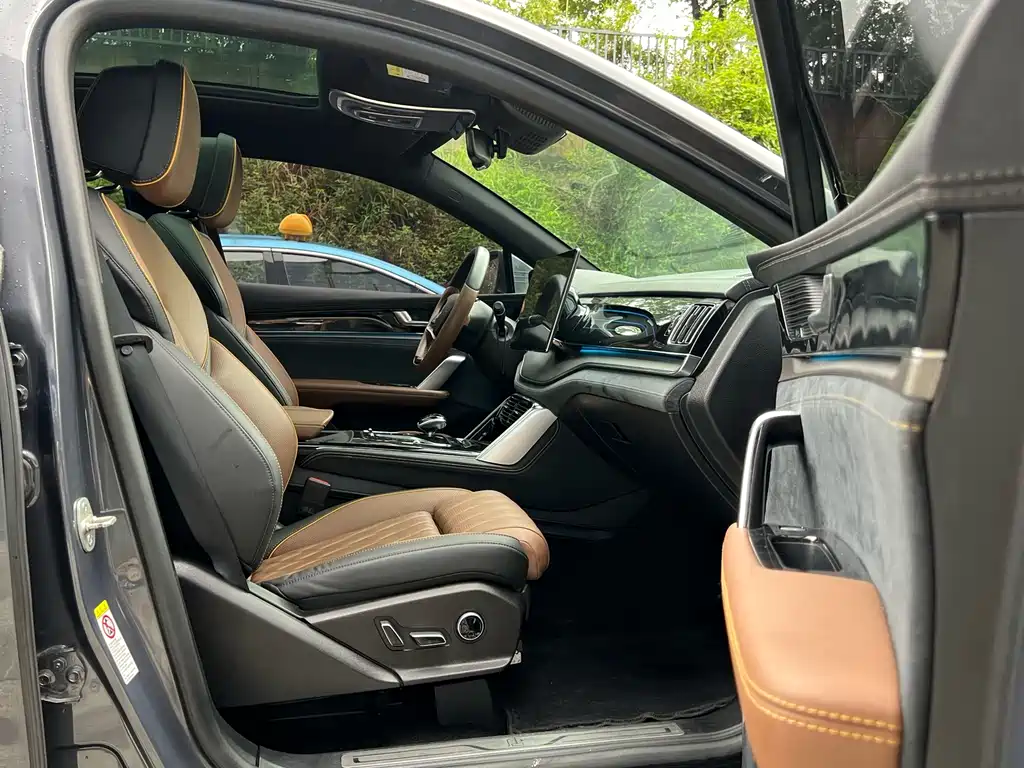 BYD Tang New Energy — миниатюра 15