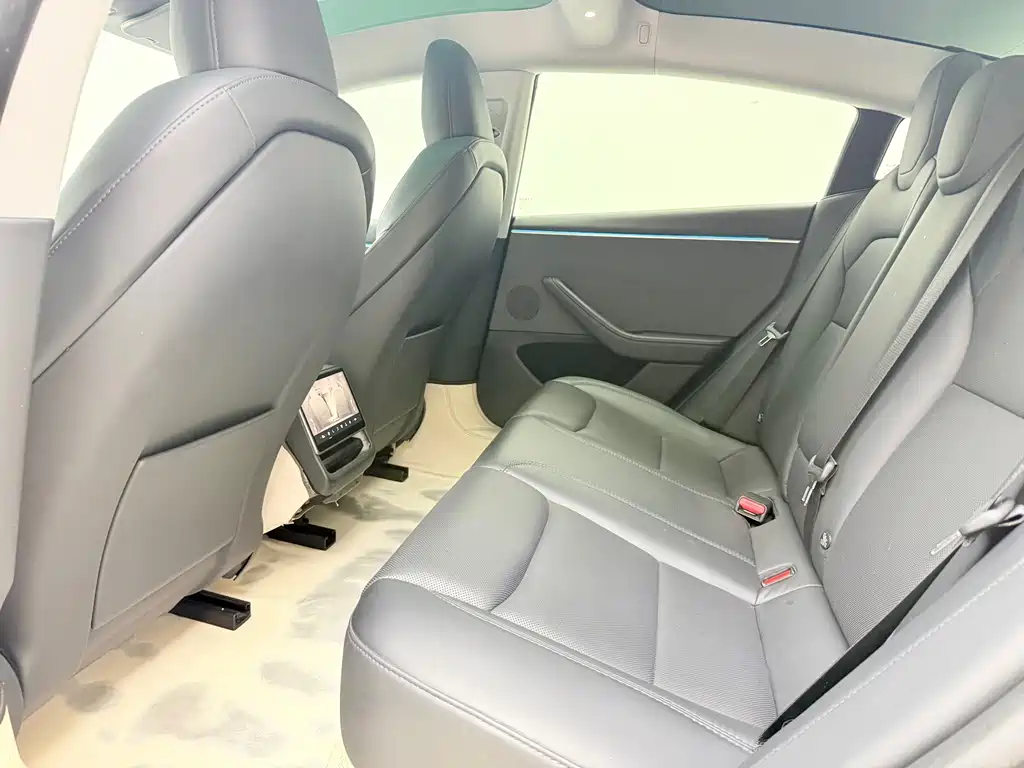 Tesla Model 3 — миниатюра 6