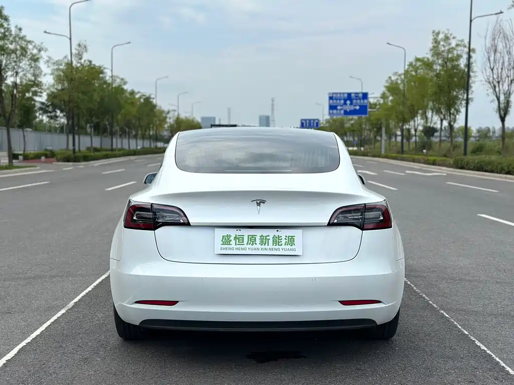 Tesla Model 3 — миниатюра 14