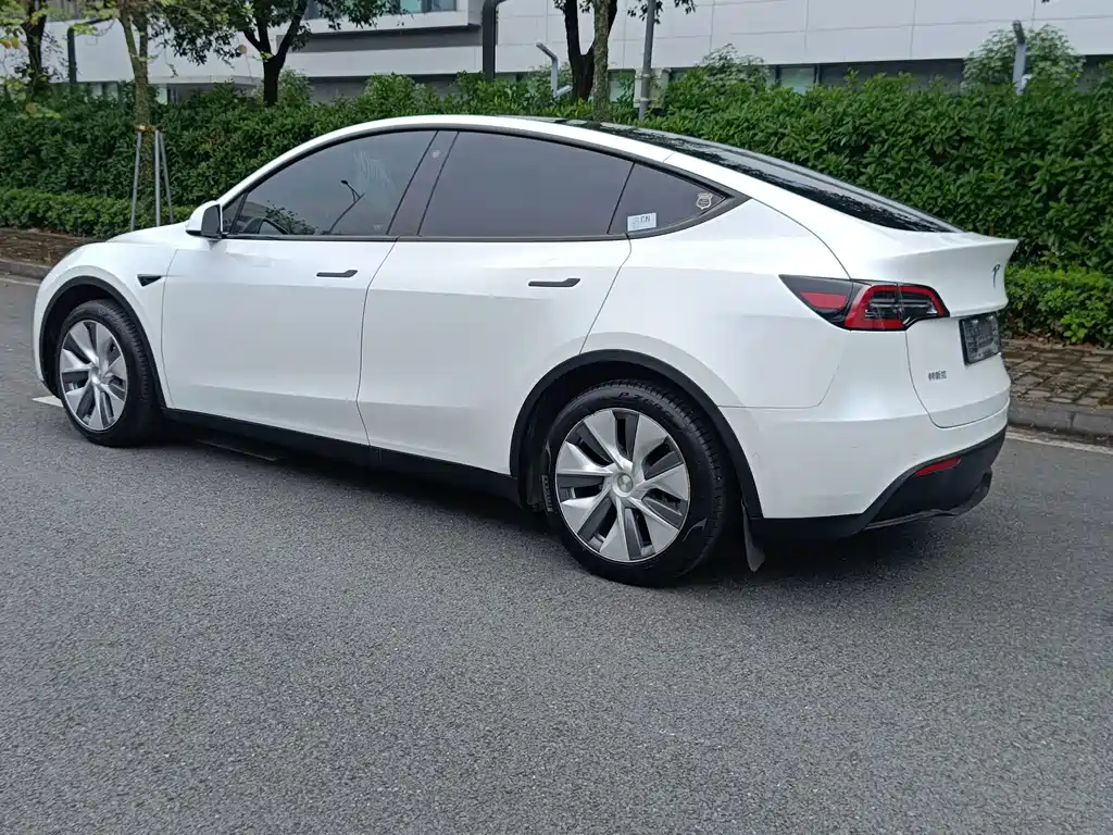 Tesla Model Y — миниатюра 21