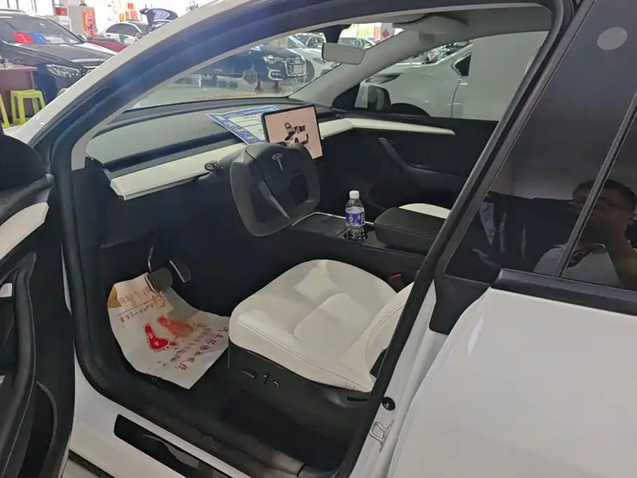 Tesla Model Y — миниатюра 9