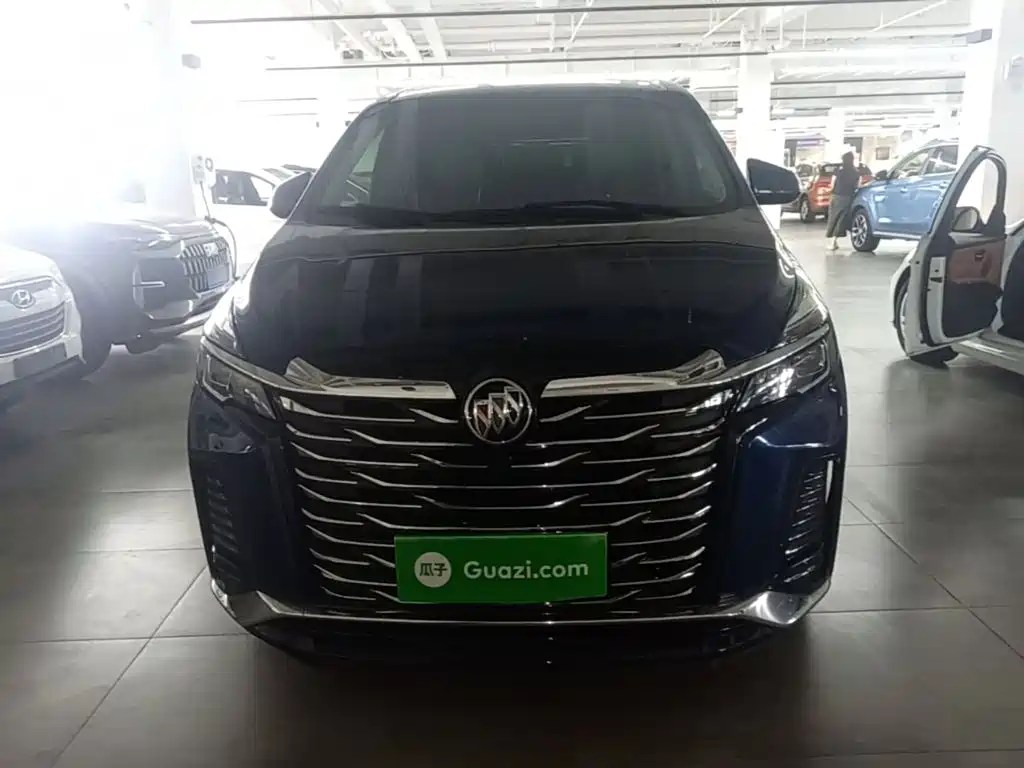 Buick GL8 — миниатюра 3