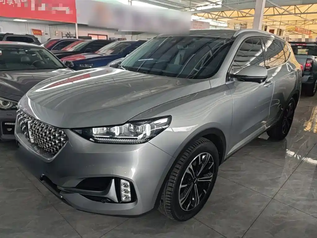 Wey Wey VV6 2021