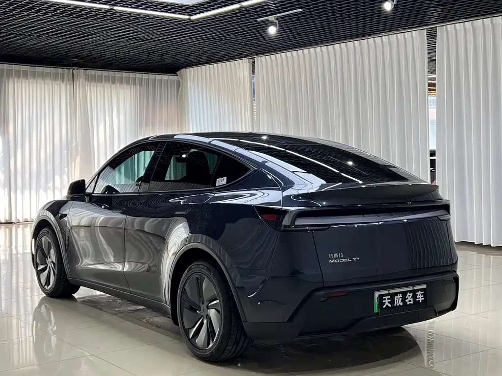 Tesla Model Y — миниатюра 6