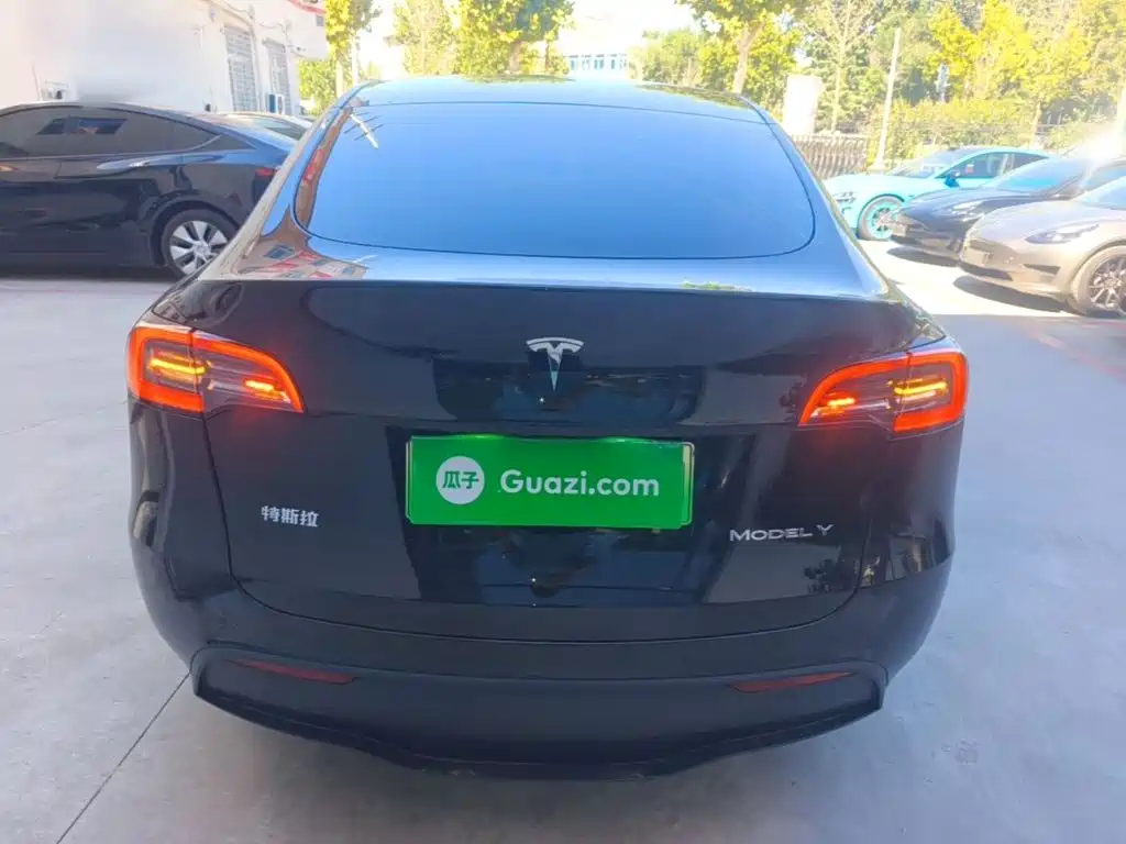 Tesla Model Y — миниатюра 6